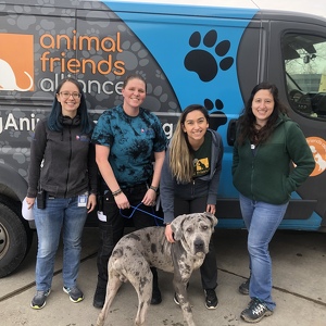 Fundraising Page: Julia Valdivia